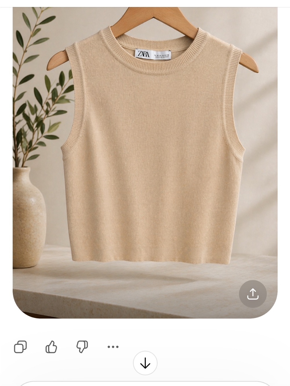 Zara Beige Sleeveless Ribbed Knit Tank